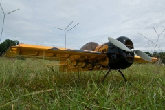 IMGP5877