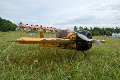 IMGP5879