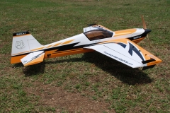Joe Nall 2012 130