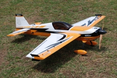 Joe Nall 2012 141