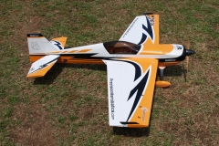Joe Nall 2012 158