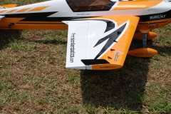 Joe Nall 2012 172